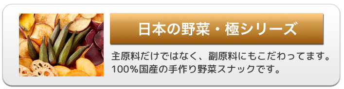 手作りスナック日本の野菜-極