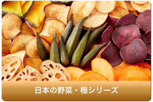 日本の野菜・極み（野菜チップス）